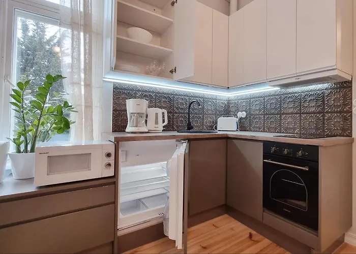 Aia Center With Sauna Apartman Parnu